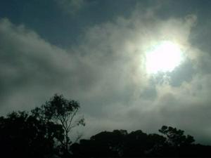 ThuMay2120090705PM_5.jpg