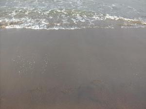 ThuNov2720080450PM.jpg