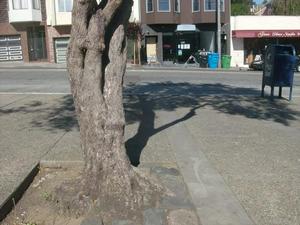 WedApr1520091026AM.jpg