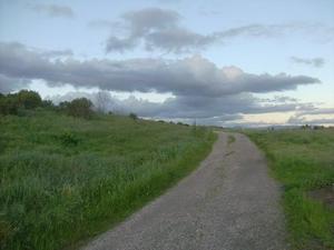 WedMar420090702PM_3.jpg