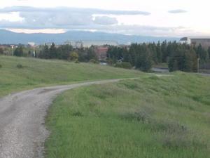WedMar420090707PM_4.jpg