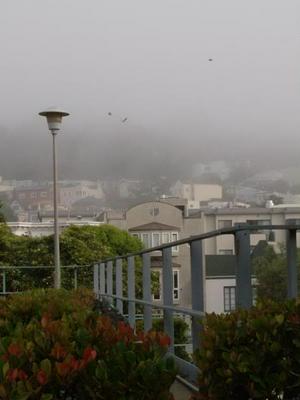 WedOct2920080934AM_2.jpg