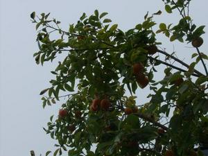 WedOct2920081030AM.jpg