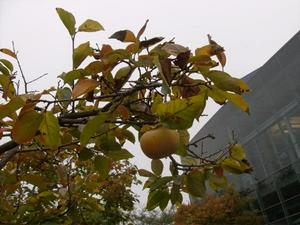 WedOct2920081031AM_2.jpg