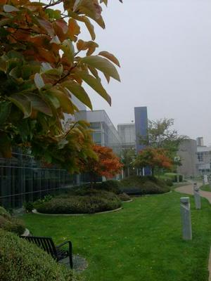 WedOct2920081031AM_3.jpg