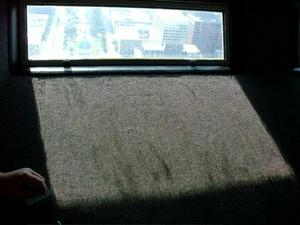 HPIM0184.jpg
