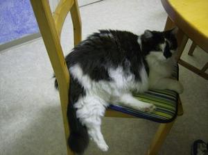 TueJul320071125PM.jpg