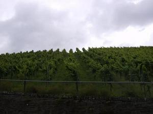 WedJul420071126AM.jpg