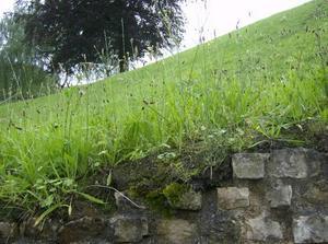 WedJul420071137AM_2.jpg
