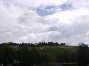 WedJul420071151AM_2.jpg