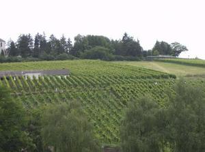 WedJul420071152AM_2.jpg