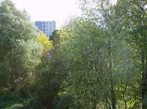 HPIM0450.jpg