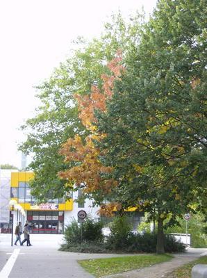HPIM0458.jpg