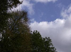 HPIM0465.jpg