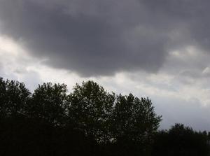 HPIM0467.jpg