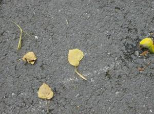 HPIM0468.jpg