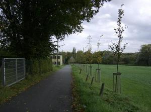 HPIM0471.jpg