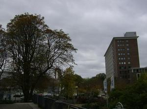 HPIM0486.jpg