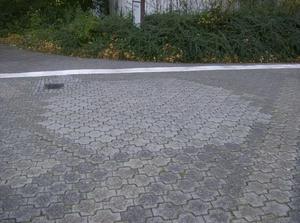 HPIM0492.jpg