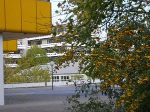 HPIM0497.jpg