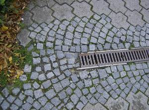 HPIM0503.jpg