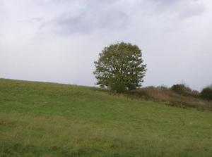 HPIM0518.jpg