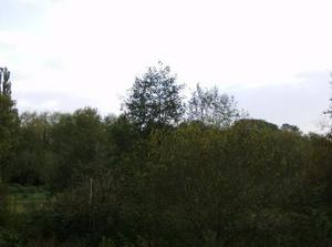 HPIM0520.jpg
