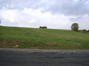 HPIM0521.jpg