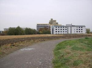HPIM0524.jpg