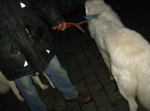 HPIM0530.jpg