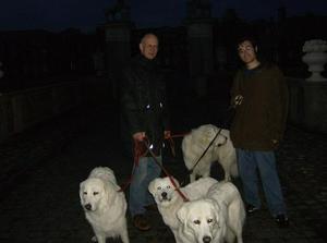 HPIM0532.jpg