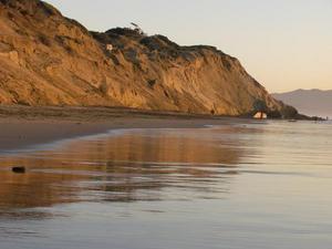 MonJan1920090617PM_3.jpg