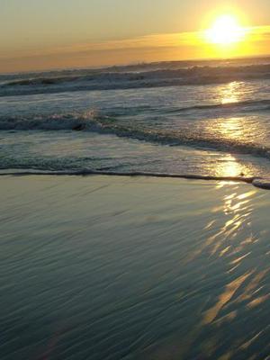 MonJan1920090618PM.jpg