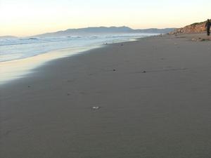 MonJan1920090619PM_3.jpg