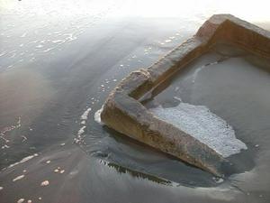 MonJan1920090623PM_3.jpg