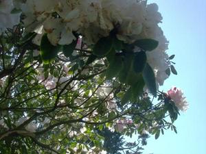 SunApr520090229PM_2.jpg