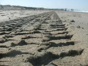 SunApr520091042AM_3.jpg
