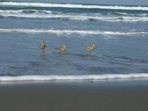 SunApr520091051AM_5.jpg