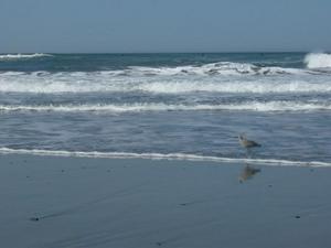 SunApr520091059AM_2.jpg