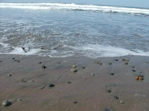 SunApr520091117AM_3.jpg
