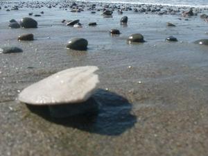SunApr520091117AM_4.jpg