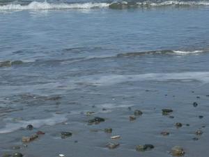 SunApr520091118AM_2.jpg