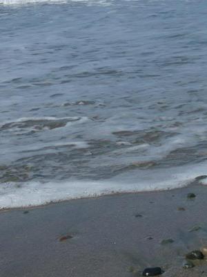 SunApr520091118AM_4.jpg