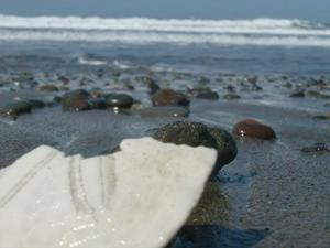 SunApr520091120AM_3.jpg
