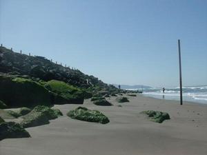 SunApr520091139AM_3.jpg