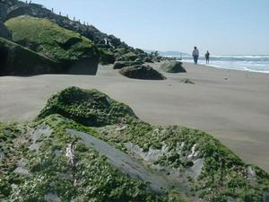 SunApr520091139AM_4.jpg