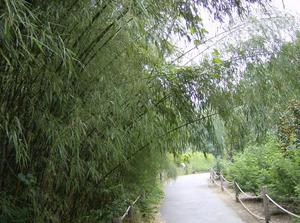 HPIM0019.jpg