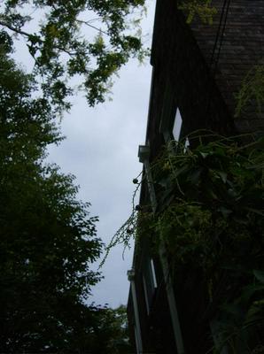 HPIM0036.jpg