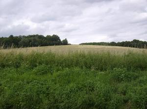 SunJun2420071216AM_2.jpg