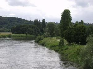 SunJun2420071228AM_2.jpg